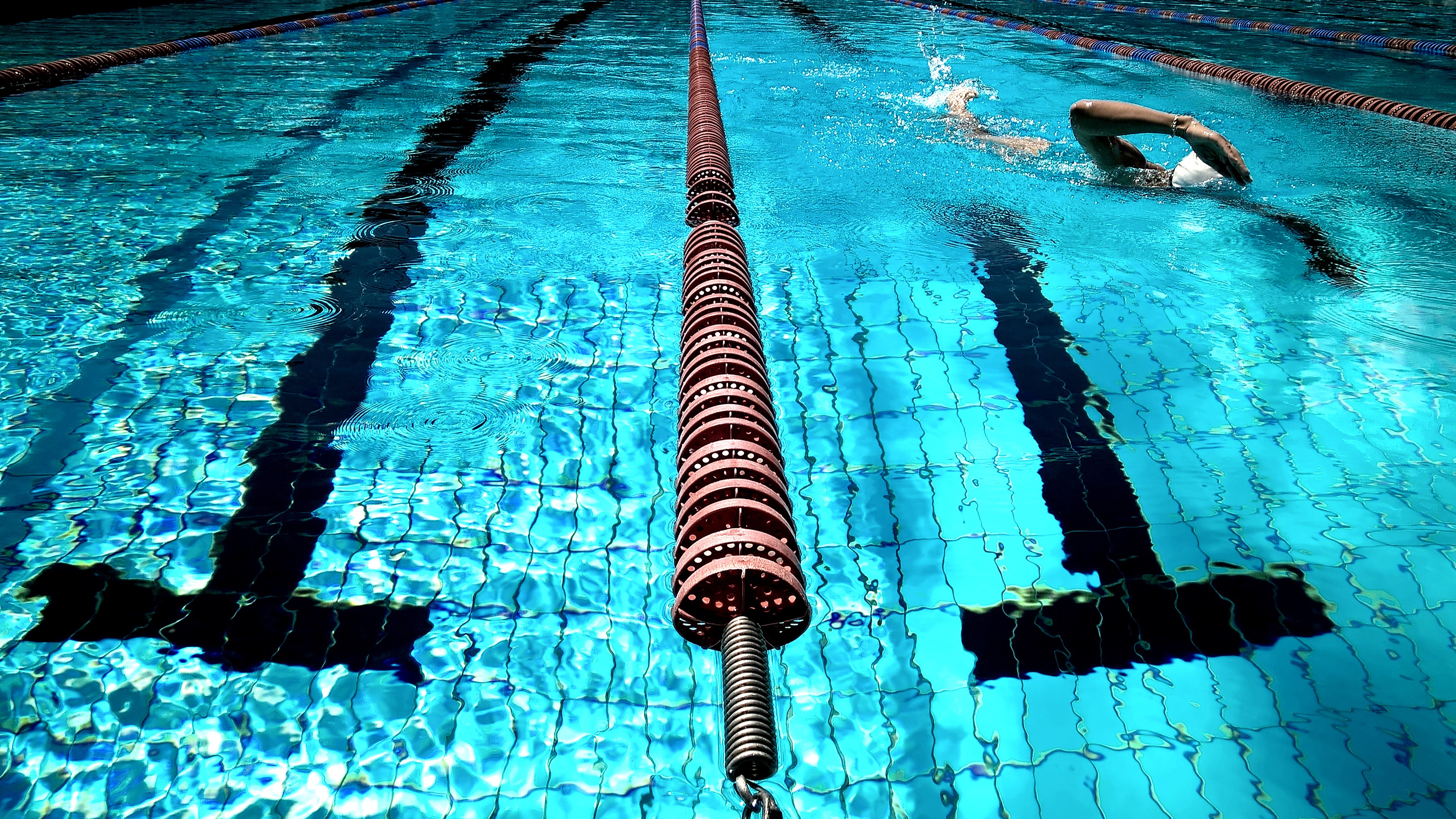 swimming-924895 swimming-924895